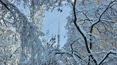 , фото - Новости Zakon.kz от 12.11.2025 14:24