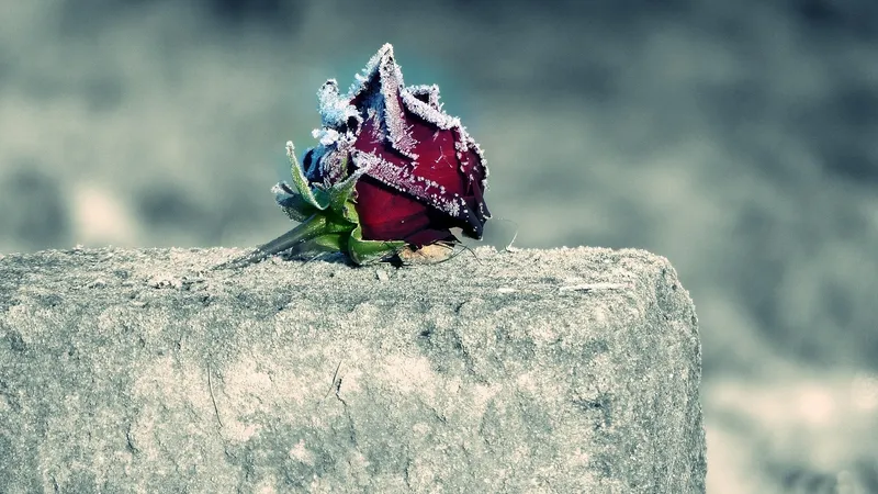 В выходные Астану накроют снег и гололед, а в Алматы и Шымкент вернется тепло