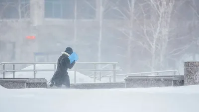 , фото - Новости Zakon.kz от 12.12.2025 12:05