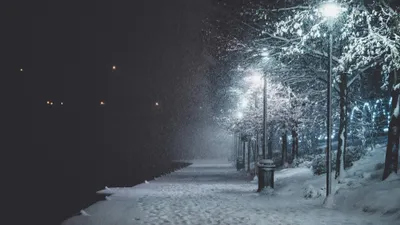снегопад, аллея, фонари, деревья, фото - Новости Zakon.kz от 07.11.2025 17:04