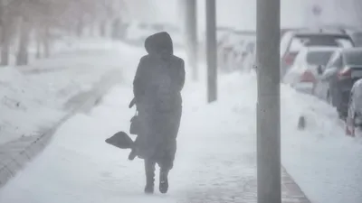 Снег, снегопад, зима, холод, мороз, заморозки, метель, фото - Новости Zakon.kz от 18.01.2026 14:57