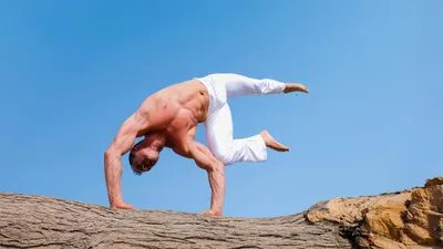 , фото - Новости Zakon.kz от 08.11.2025 16:09