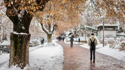 Снег, снегопад, зима, холод, мороз, заморозки, фото - Новости Zakon.kz от 07.01.2026 14:51