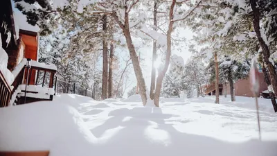 , фото - Новости Zakon.kz от 07.11.2025 17:04