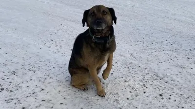 , фото - Новости Zakon.kz от 11.11.2025 09:26