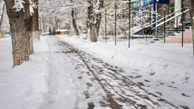 , фото - Новости Zakon.kz от 06.12.2025 14:52