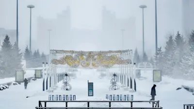 Снег, снегопад, зима, холод, мороз, заморозки, метель, сурет - Zakon.kz жаңалық 15.12.2025 15:01