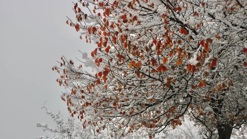 Өрт қаупі, нөсер жаңбыр және қар: 14 cәуірде ауа райы қандай болады
