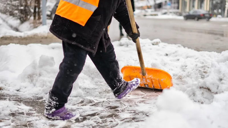 Апокалипсис в Шымкенте: Дендропарк закрыт, деревья падают, электричество отключено
