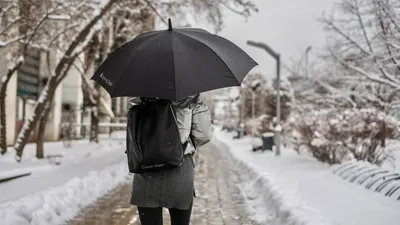 , фото - Новости Zakon.kz от 04.12.2025 17:29