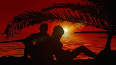 Пара, вода, пляж, солнце, фото - Новости Zakon.kz от 08.11.2025 09:08