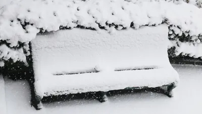 скамейка под снегом, фото - Новости Zakon.kz от 09.11.2025 17:26