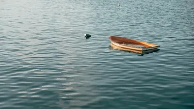 , фото - Новости Zakon.kz от 09.11.2025 16:20