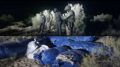 мешки, люди, МВД, наркотики, фото - Новости Zakon.kz от 10.11.2025 09:52