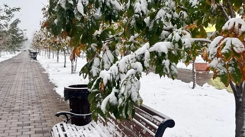 В Алматы потеплеет до +13°С и пойдет снег