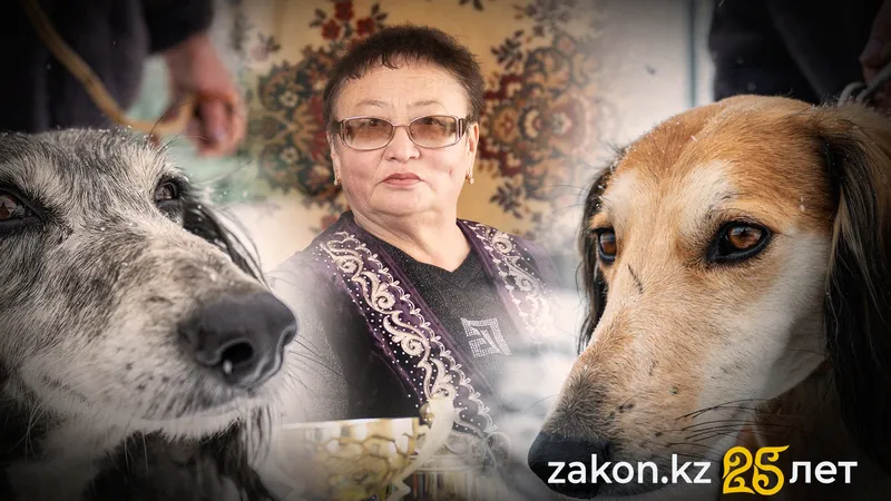 Как собака древней казахской породы тазы стала символом преданности и силы духа