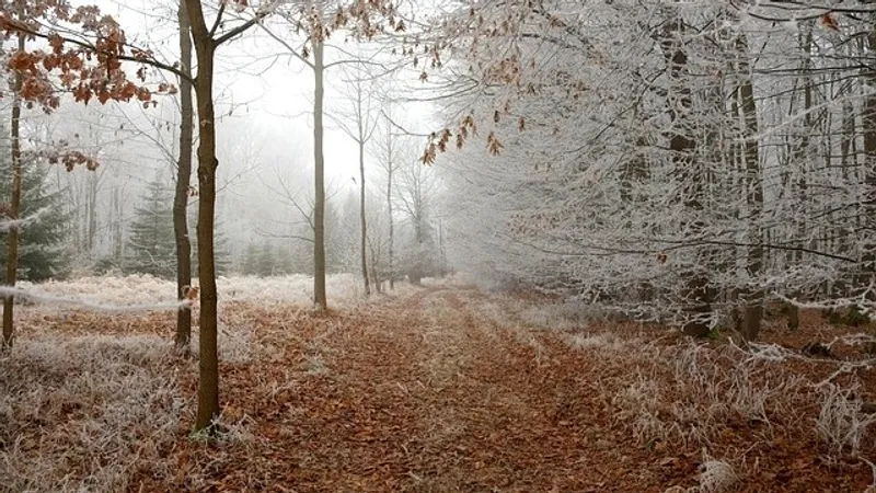 Туман, дождь и метель: синоптики объявили на вторник штормовое предупреждение