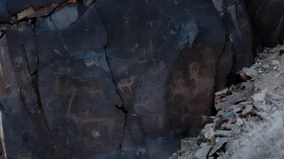 Парк Алтын-Эмиль, фото - Новости Zakon.kz от 10.11.2025 15:42