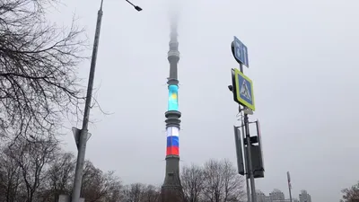 , фото - Новости Zakon.kz от 11.11.2025 17:37