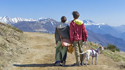 Люди, природа, животные, фото - Новости Zakon.kz от 12.11.2025 05:20