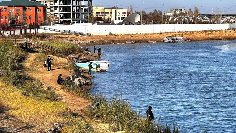 На прилавки Атырау вернулся судак и спровоцировал рыбный бум в регионе