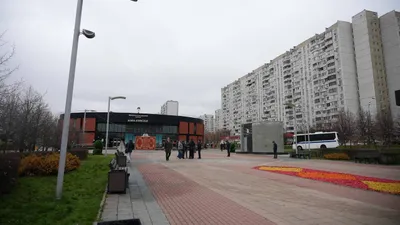 , фото - Новости Zakon.kz от 12.11.2025 10:17