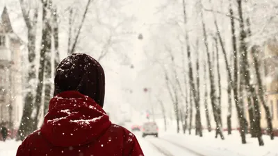 парень, снегопад, зима, фото - Новости Zakon.kz от 11.11.2025 17:34