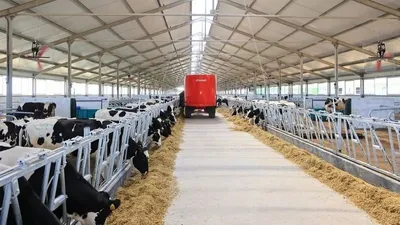 Продовольственная безопасность, фото - Новости Zakon.kz от 12.11.2025 12:55