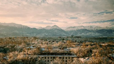 Алматы, Алматы зимой, виды города Алматы, зима в Алматы, зимой в Алматы, зимний Алматы, заморозки в Алматы, мороз в Алматы, снег в Алматы, похолодание в Алматы, снегопад, снегопад в Алматы, фото - Новости Zakon.kz от 09.12.2025 09:42