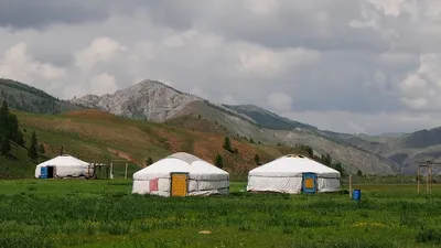 Госзакупки в Мангистауской области, фото - Новости Zakon.kz от 13.11.2025 06:40