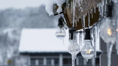 , фото - Новости Zakon.kz от 17.11.2025 14:54