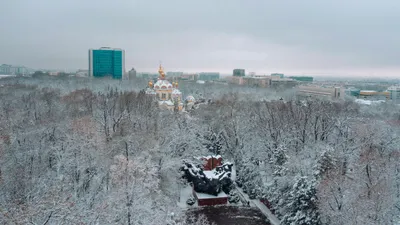 , фото - Новости Zakon.kz от 12.12.2025 17:41