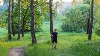 мужчина, физкультура, лес, фото - Новости Zakon.kz от 14.11.2025 12:25