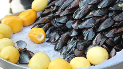 Еда в Стамбуле, фото - Новости Zakon.kz от 15.11.2025 06:06