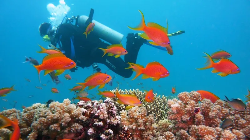 Египет может вдвое увеличить стоимость въездных виз