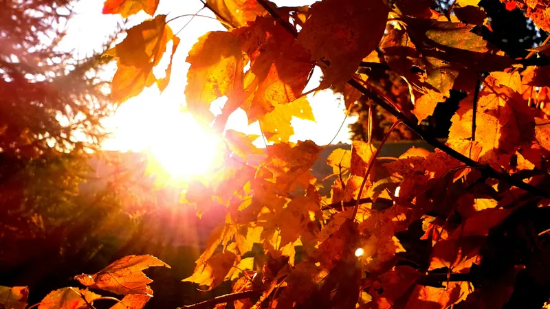 Потепление до +23°C и туман: обновлен прогноз погоды по Астане, Алматы и Шымкенту на 15-17 ноября