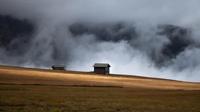 природа, фото - Новости Zakon.kz от 15.11.2025 17:06