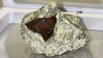 Метеорит, наука, Солнечная система , фото - Новости Zakon.kz от 15.11.2025 13:27