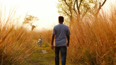 Природа, деревья, мужчина, фото - Новости Zakon.kz от 16.11.2025 05:20