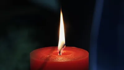 умер известный французский лирик, фото - Новости Zakon.kz от 16.11.2025 00:45