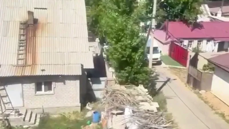 150 кустов марихуаны вырастил на своем участке житель Павлодара