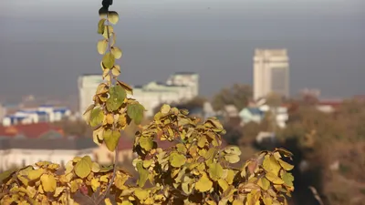 смог в Алматы, фото - Новости Zakon.kz от 15.11.2025 09:10