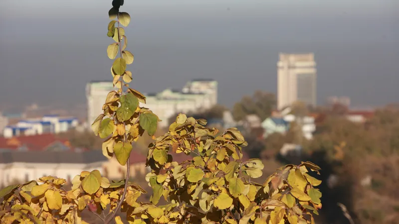Сразу в девяти городах Казахстана объявлены НМУ: кому стоит быть осторожными