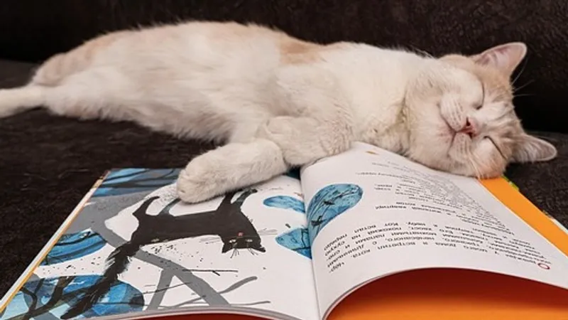 Гороскоп на 17 ноября: пора отдохнуть