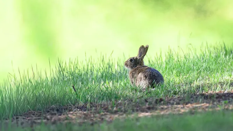 Воскресенье станет днем неожиданных решений: что ждет знаки зодиака