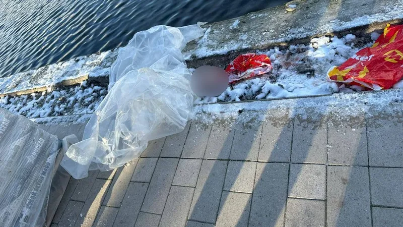 В пруду на востоке Москвы нашли останки ребенка