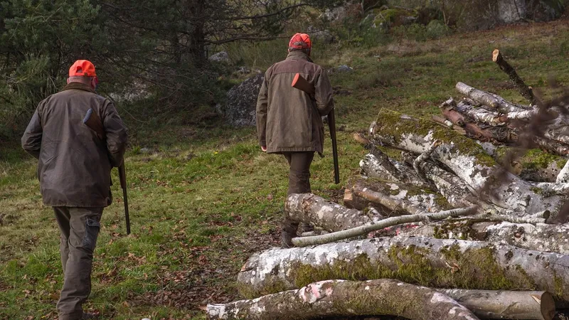 Охота на животных и птиц: изменения в правила