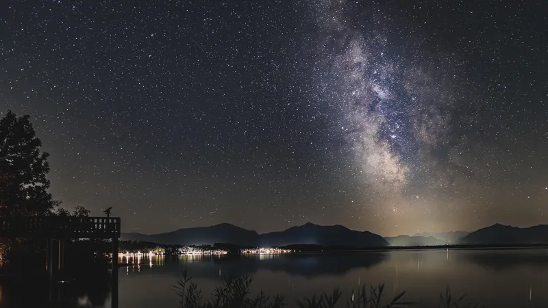 В космос отправят кота и вязаного космонавта: зачем это нужно