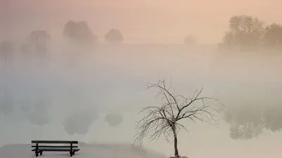 штормовое предупреждение, фото - Новости Zakon.kz от 18.11.2025 19:36