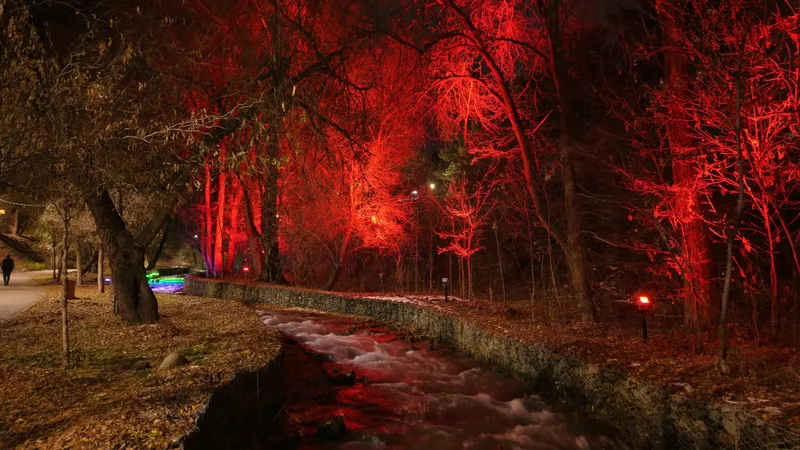 Световые кроны и городские чудеса: Алматы рисует ночной пейзаж